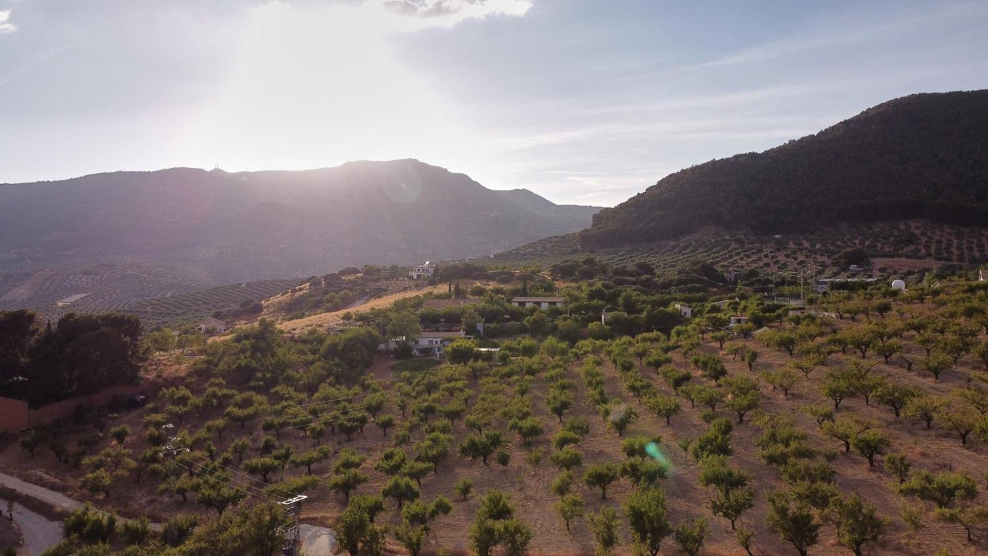 Villa Canela Illora Екстер'єр фото
